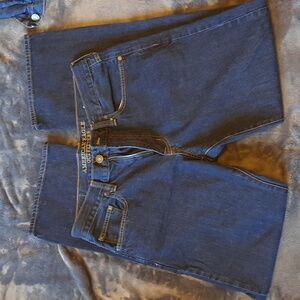 AEO American Eagle 33x34 EUC